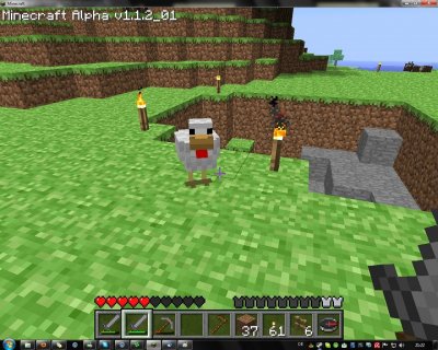 chicken