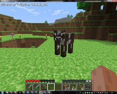 cow