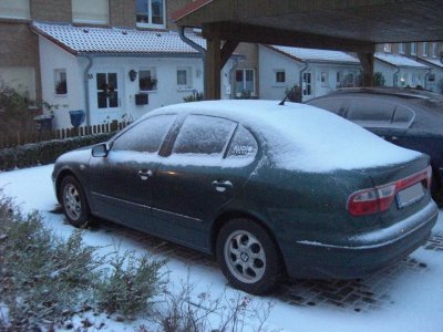 auto_sschnee