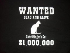 Schrödingers katze