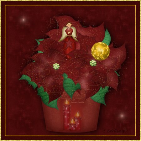 Weihnachtstern