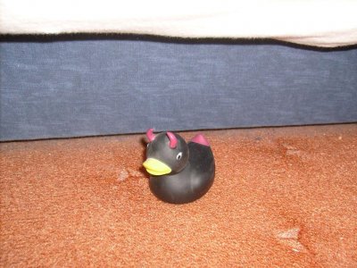Evil DUCK