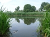 Der schwarze Teich